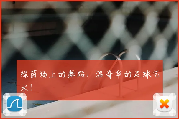 绿茵场上的舞蹈，温哥华的足球艺术！