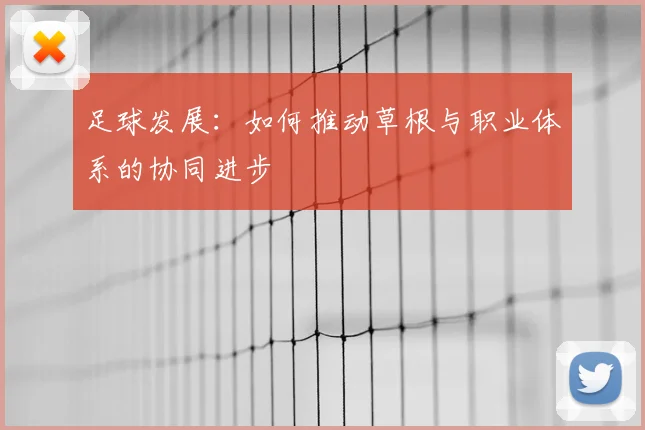 足球发展:如何推动草根与职业体系的协同进步