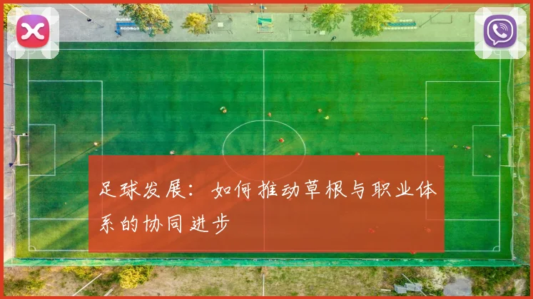 足球发展：如何推动草根与职业体系的协同进步