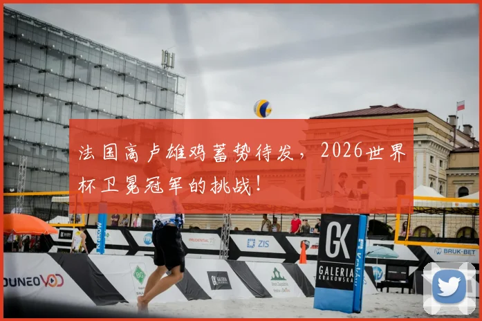 法国高卢雄鸡蓄势待发，2026世界杯卫冕冠军的挑战！