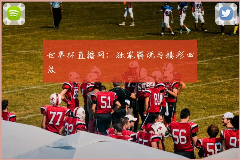 世界杯直播网：独家解说与精彩回放