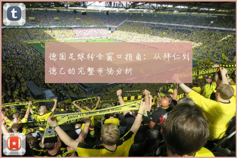 德国足球转会窗口指南：从拜仁到德乙的完整市场分析